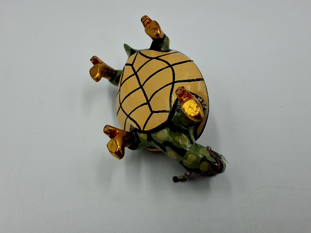 Toms Drag Turtle